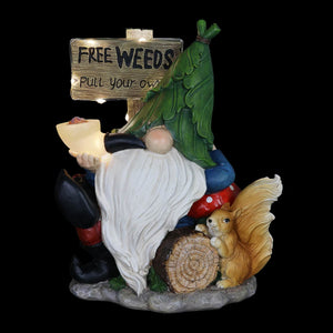 Solar Gnome with Free Weeds- Pull Your Own Sign, 8.5 by 10 Inches | Shop Garden Decor by Exhart