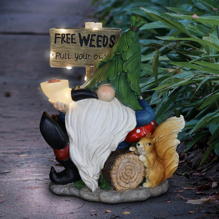 Solar Gnome with Free Weeds- Pull Your Own Sign, 8.5 by 10 Inches
