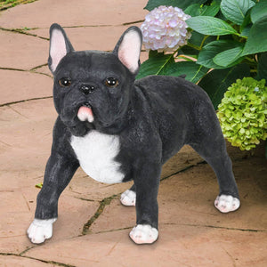 Hand Painted Black French Bulldog Statuary, 12 Inch | Shop Garden Decor by Exhart