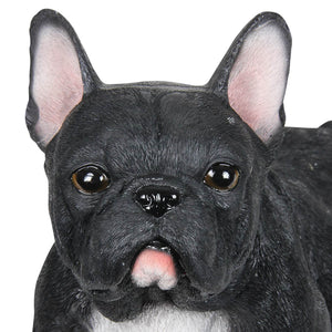 Hand Painted Black French Bulldog Statuary, 12 Inch | Shop Garden Decor by Exhart