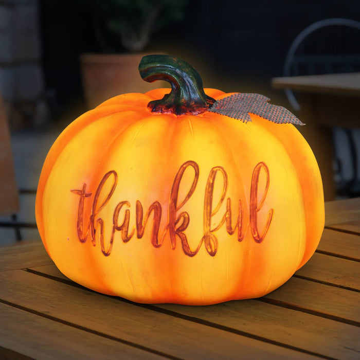 Thankful LED Harvest Pumpkin Statuary with Battery Powered Automatic Timer, 8.5 Inches