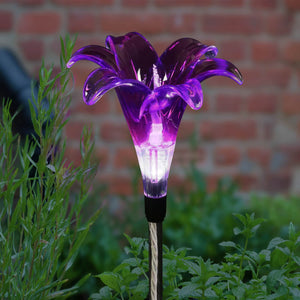 Solar Plastic Lily Garden Stake in Purple, 4 by 35 Inches | Shop Garden Decor by Exhart