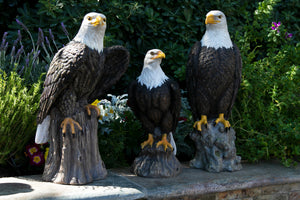 Bald Eagle on a Rock Statue, 8 by 21.5 Inches | Shop Garden Decor by Exhart