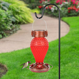 Solar Hanging Hummingbird Feeder with Illuminating Scarlet Glass, Bronze Metal Top and Base, 6.5 x 6.5 x 9.5 Inches | Exhart
