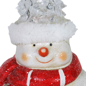 Snowman with Color Changing LED Christmas Tree Hat Statuary, 5.5 by 11 Inches | Shop Garden Decor by Exhart