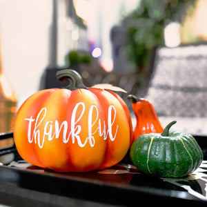 Thankful LED Harvest Pumpkin Statuary with Battery Powered Automatic Timer, 8.5 Inches | Shop Garden Decor by Exhart