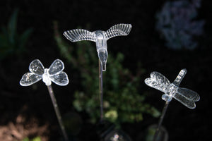 Solar Acrylic Butterfly, Hummingbird and Dragonfly Garden Stake Set of Three, 3 by 25 Inches | Shop Garden Decor by Exhart