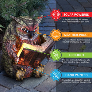 Solar Owl Reading a Book Garden Statue, 7 Inches | Shop Garden Decor by Exhart