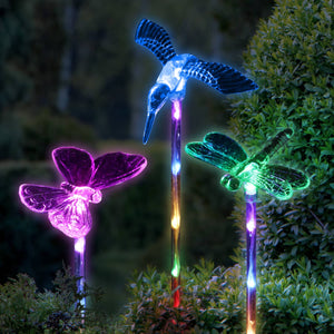 Solar Acrylic Butterfly, Hummingbird and Dragonfly Garden Stake Set of Three, 3 by 25 Inches | Shop Garden Decor by Exhart