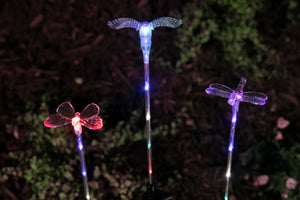 Solar Acrylic Butterfly, Hummingbird and Dragonfly Garden Stake Set of Three, 3 by 25 Inches | Shop Garden Decor by Exhart