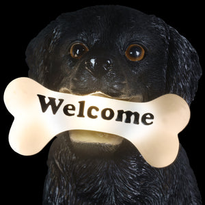 Solar Black Labrador Retriever Dog with LED Welcome Bone Garden Statuary, 14 Inch tall | Shop Garden Decor by Exhart