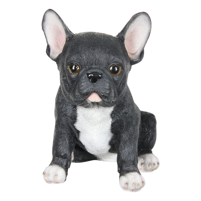 Hand Painted Black French Bulldog Puppy Statuary, 7 Inch
