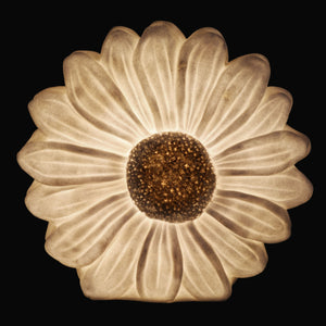 Solar White Daisy Accent Light, 12 Inches | Shop Garden Decor by Exhart