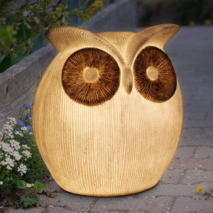Solar Owl Garden Accent Light, 10n by 12 Inches | Shop Garden Decor by Exhart