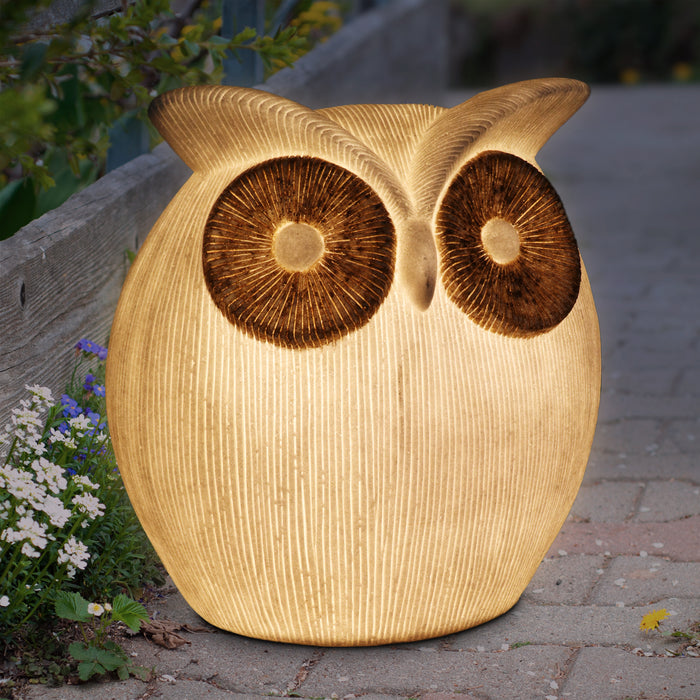 Solar Owl Garden Accent Light, 10n by 12 Inches