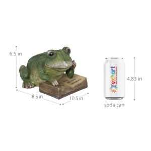 Solar Reading Frog with Book Garden Statue, 10 by 7 Inches | Shop Garden Decor by Exhart