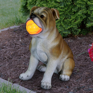Solar Bulldog with LED Red Ball Garden Statuary, 13 Inch tall | Shop Garden Decor by Exhart