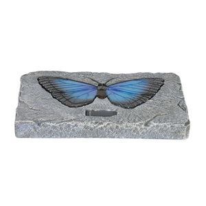 Solar Blue Butterfly Stepping Stone, 10 Inch | Shop Garden Decor by Exhart