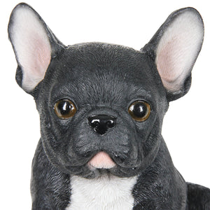 Hand Painted Black French Bulldog Puppy Statuary, 7 Inch | Shop Garden Decor by Exhart