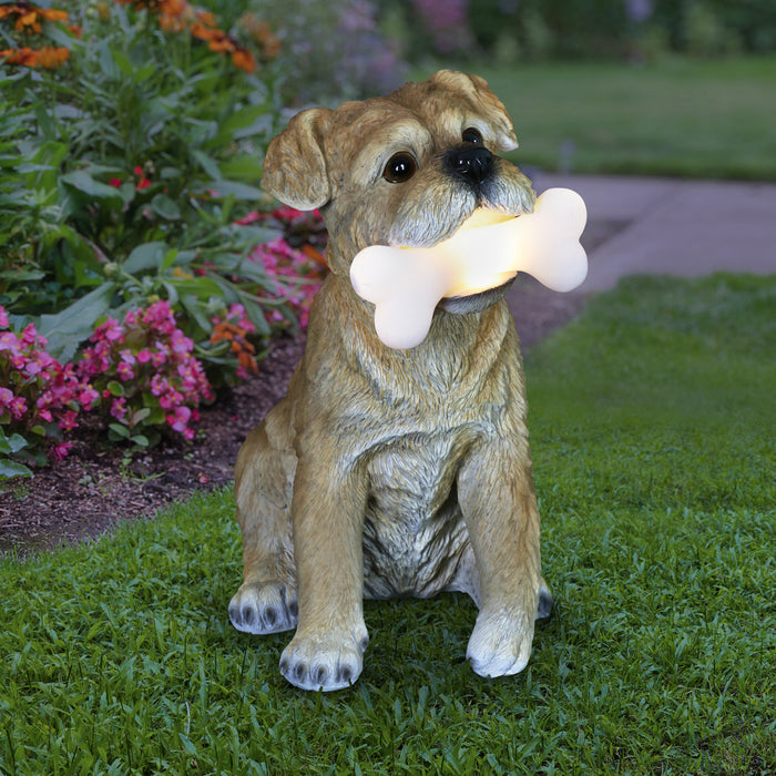 Solar Terrier with LED Bone Garden Statuary, 7.5 by 13 Inches