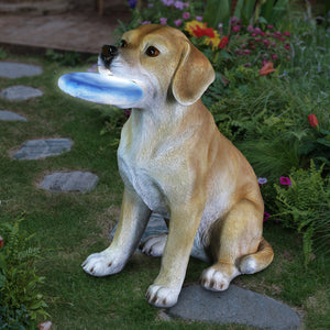 Solar Labrador Retriever Dog with LED Frisbee Garden Statuary, 14 Inch tall | Shop Garden Decor by Exhart