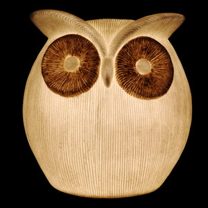 Solar Owl Garden Accent Light, 10n by 12 Inches | Shop Garden Decor by Exhart