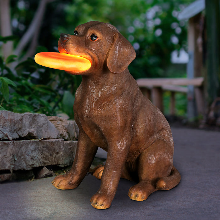 Solar Chocolate Labrador Retriever Dog with LED Frisbee Garden Statuary, 14 Inch tall