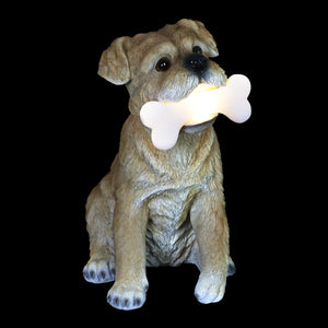 Solar Terrier with LED Bone Garden Statuary, 7.5 by 13 Inches | Shop Garden Decor by Exhart