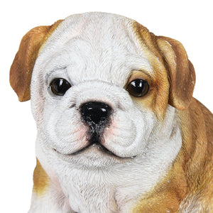 Hand Painted English Bulldog Puppy Statuary, 6 Inch | Shop Garden Decor by Exhart