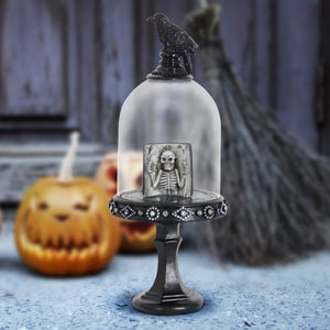 spooky crow on a pedestal Halloween LED dome with skeleton book, 11 Inch