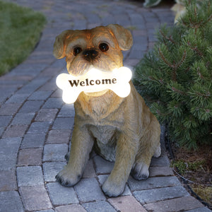 Solar Terrier with LED Welcome Bone Garden Statuary, 7.5 by 13 Inches | Shop Garden Decor by Exhart