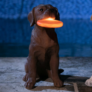Solar Chocolate Labrador Retriever Dog with LED Frisbee Garden Statuary, 14 Inch tall | Shop Garden Decor by Exhart