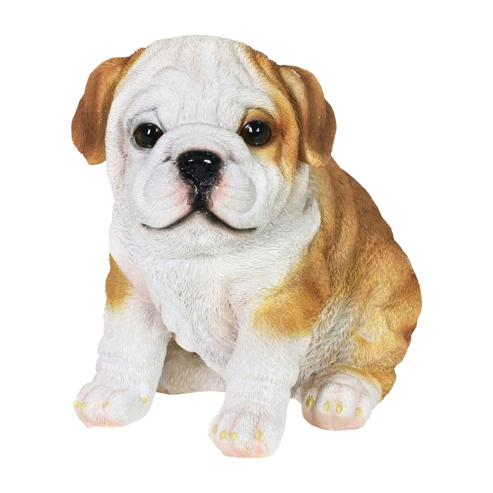 Hand Painted English Bulldog Puppy Statuary, 6 Inch