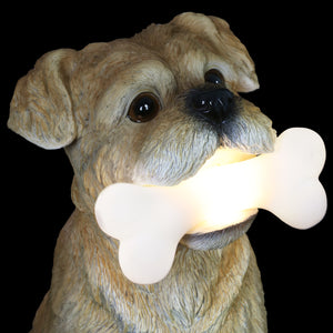 Solar Terrier with LED Bone Garden Statuary, 7.5 by 13 Inches | Shop Garden Decor by Exhart
