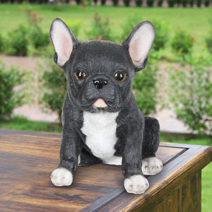 Hand Painted Black French Bulldog Puppy Statuary, 7 Inch | Shop Garden Decor by Exhart